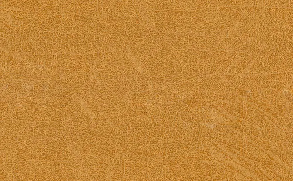 Terra Lux 17