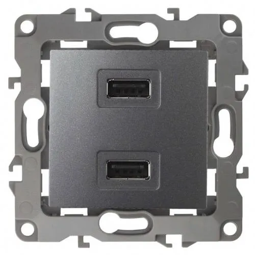 Розетка USB Эра 12 Графит 