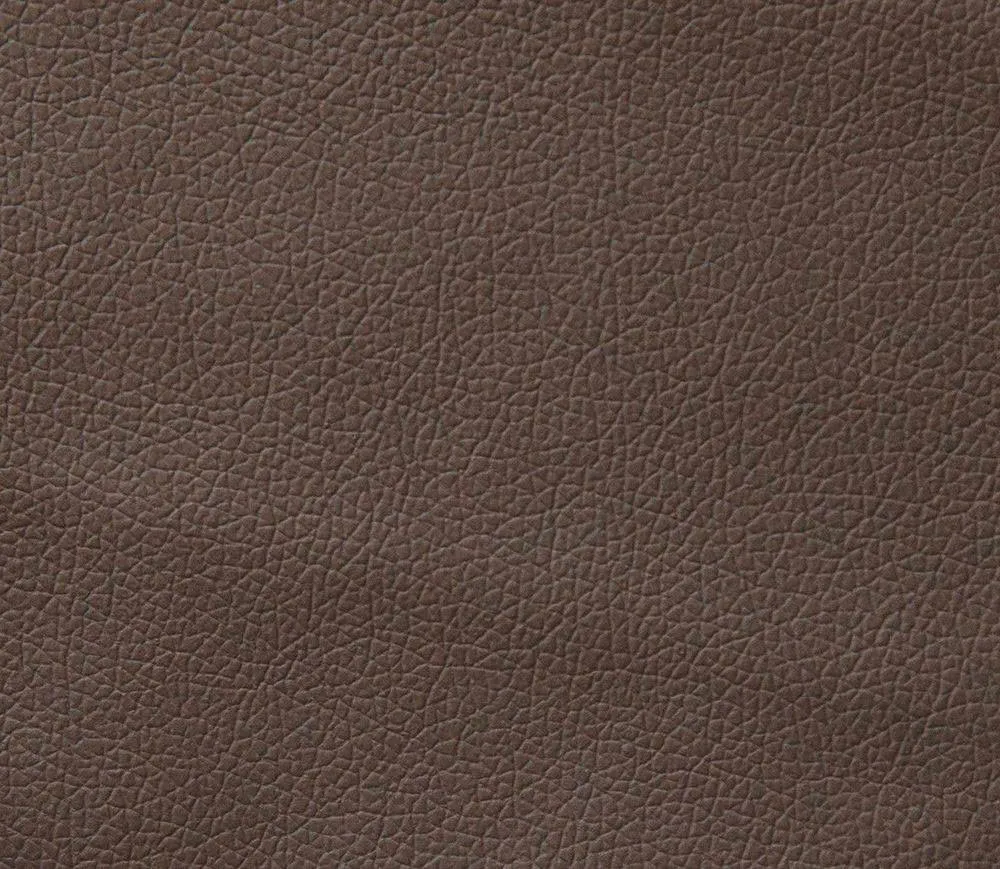 Domus taupe