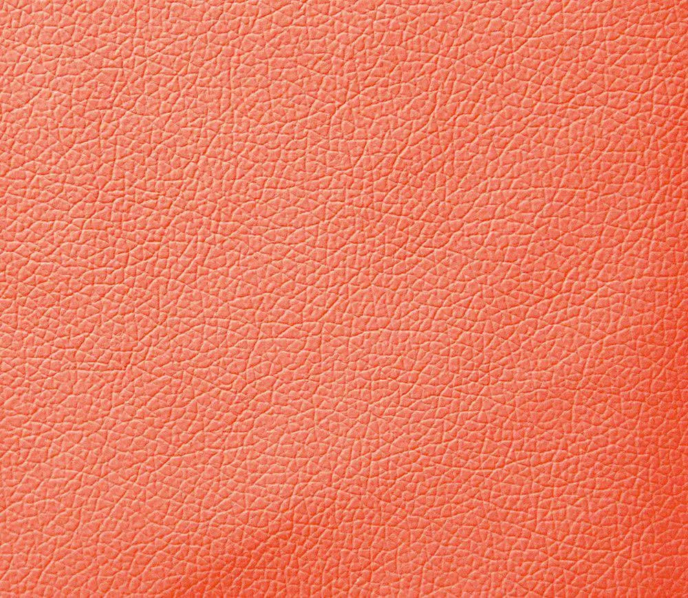 Domus coral